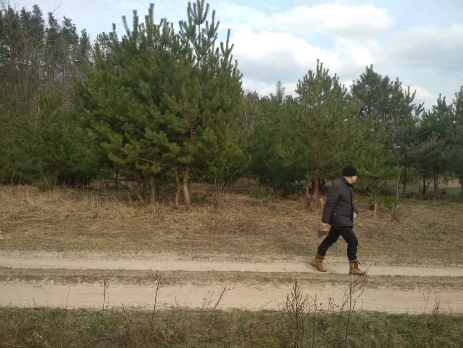 Земельна ділянка для індивідуального садівництва, село Анисів Чернігів