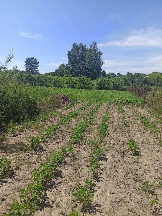 Продається земельна ділянка в селищі Літин 5827