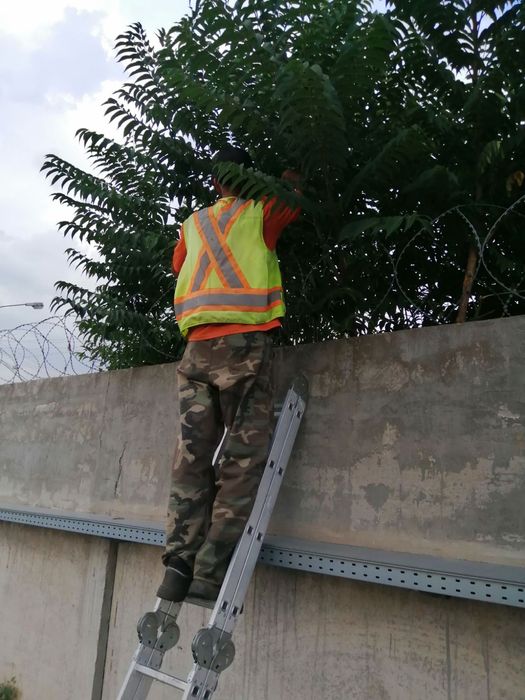 Уборка участка под ключ, покос травы, спил деревьев, корчевка пней