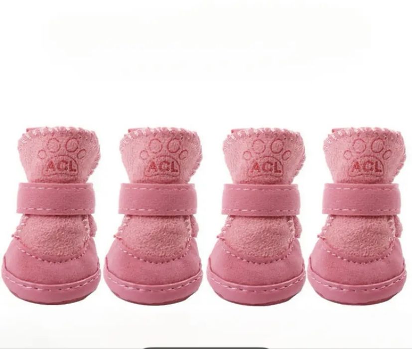 Взуття для собак