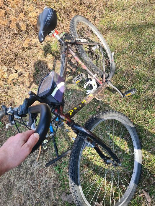 Rower Python staruszek