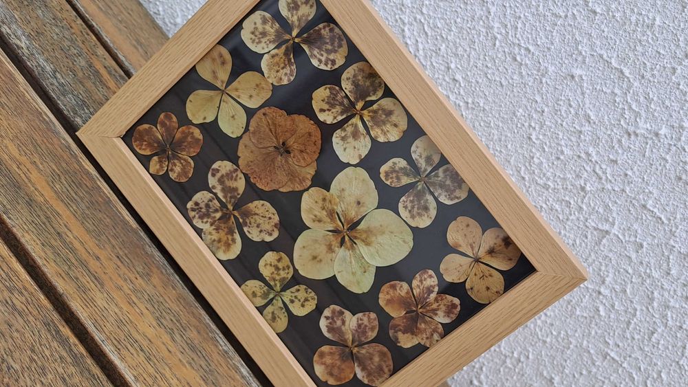 Azores Collection Frame - Black64584216567169122