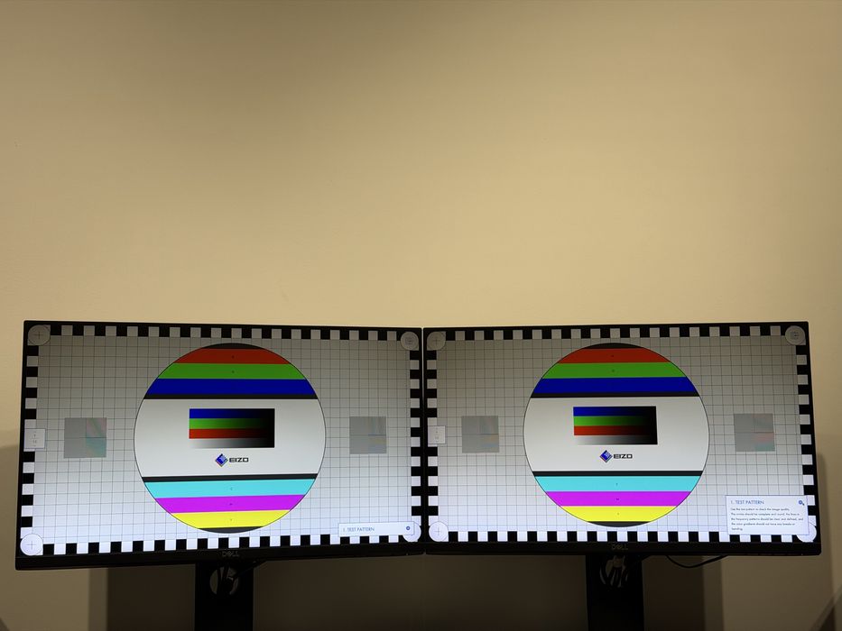 2x Monitor DELL P2419H FHD IPS