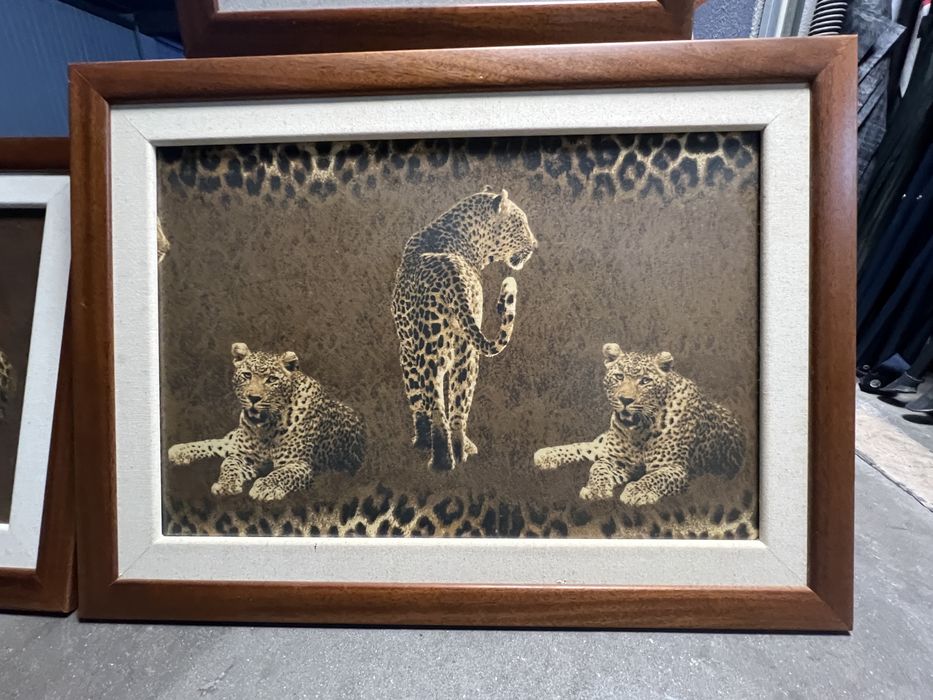 Quadros  safari leopardos