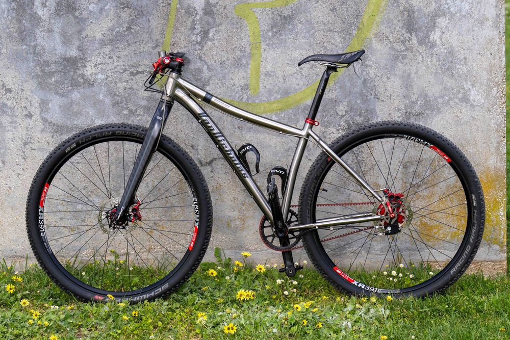 Van Nicholas Zion 29 Titanium Er Rohloff Speedhub 14-spd belt red 2020