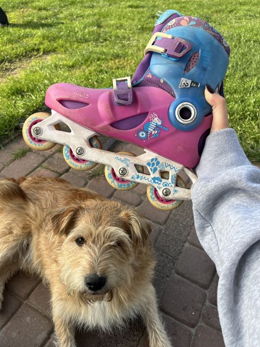 rolki kolorowe dla dziewczynki rozmiar 34-35-36