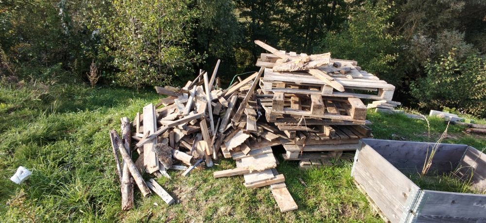 Drzewo na opał oddam