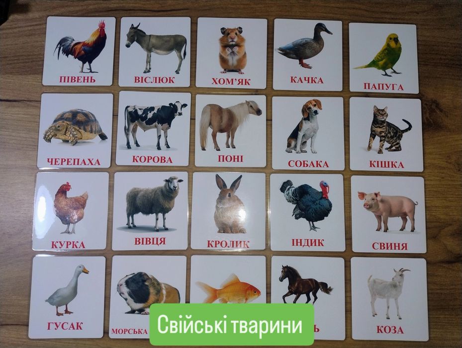 Картки Домана, карточки домана, ламіновані розвиваючі картки від 40 гр