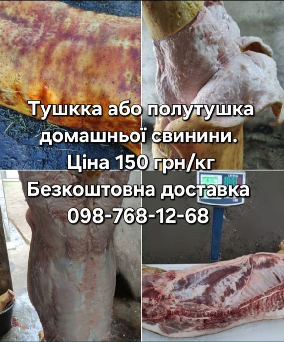 Тушка, свинини, баранини,ягнятини, курятини, козлятини