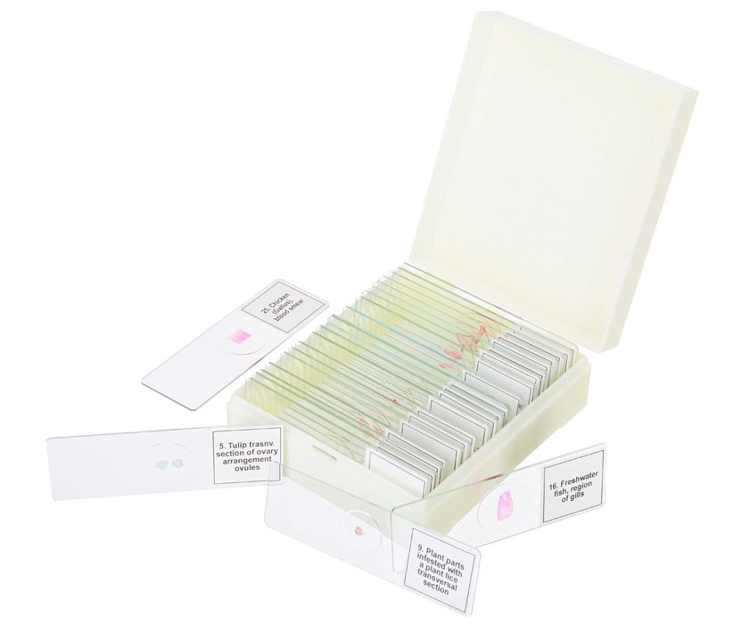 Zestaw mikropreparatów Levenhuk DiscoveryProfDPS25.Biologia, ptaki itp