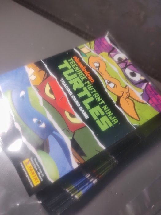 Karty Ninja Turtles. Pannini