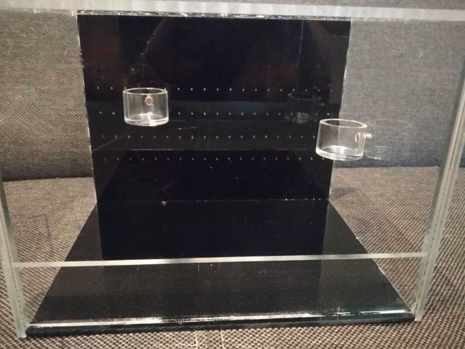 Magnetyczne naczynie na żywność/wodę dla skaczącego pająka, modliszki