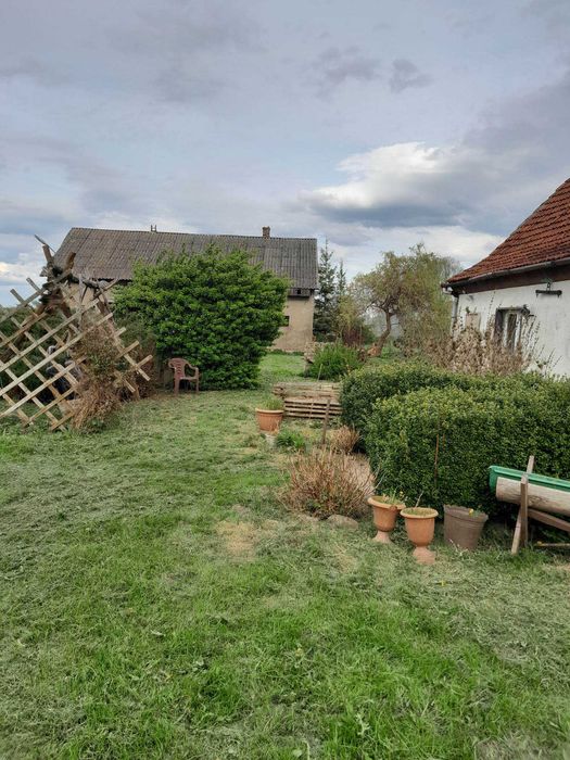 Sprzedam ,,Siedlisko,, Warmińsko-Mazurskie