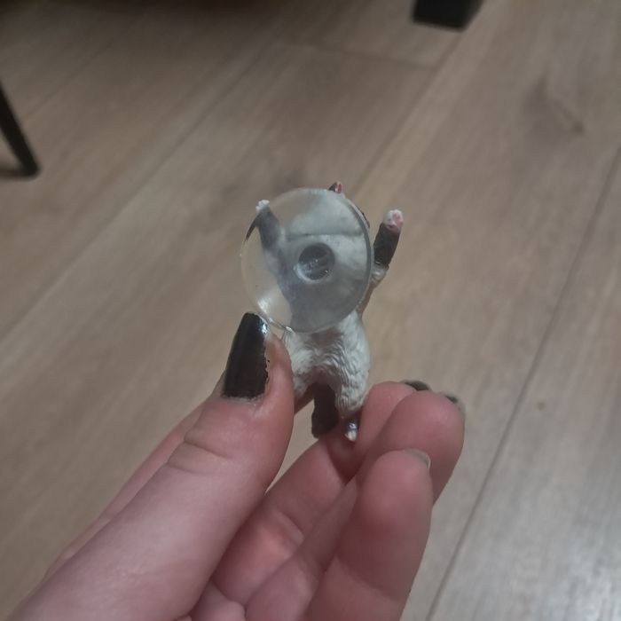 Przyczep kot do telefonu