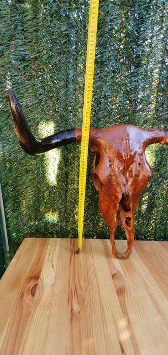 Cabeça de Vaca - Decoração