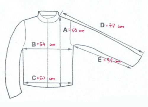 Bluza Fenix Athletico