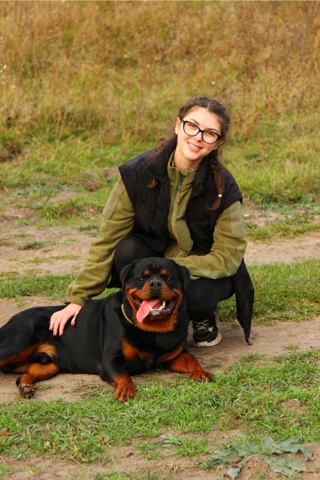 Ротвейлер ксу кобель