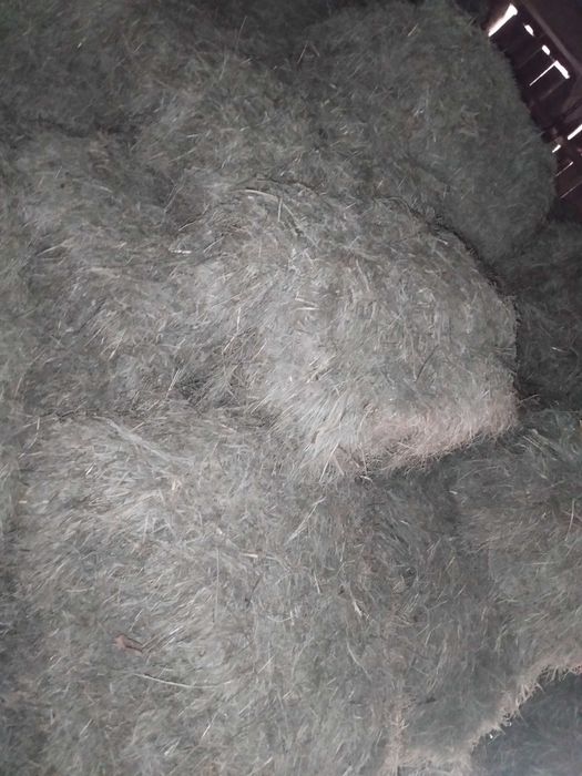 Siano drugi pokos