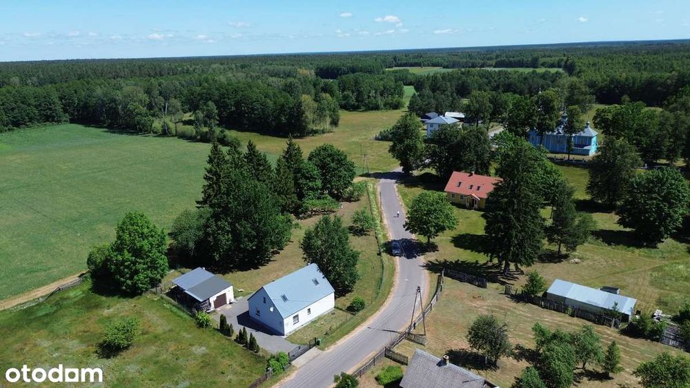 Werstok w Prawdzowej Puszczy Bialowieskiej. Podlasie