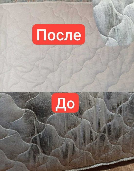 Удаление Грибка/Плесени Бесплатно Консультируем. Грибок/Плесень/Метод.