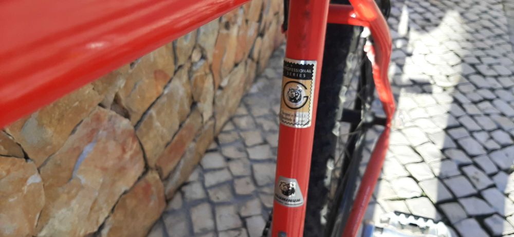 Bicicleta de Montanha