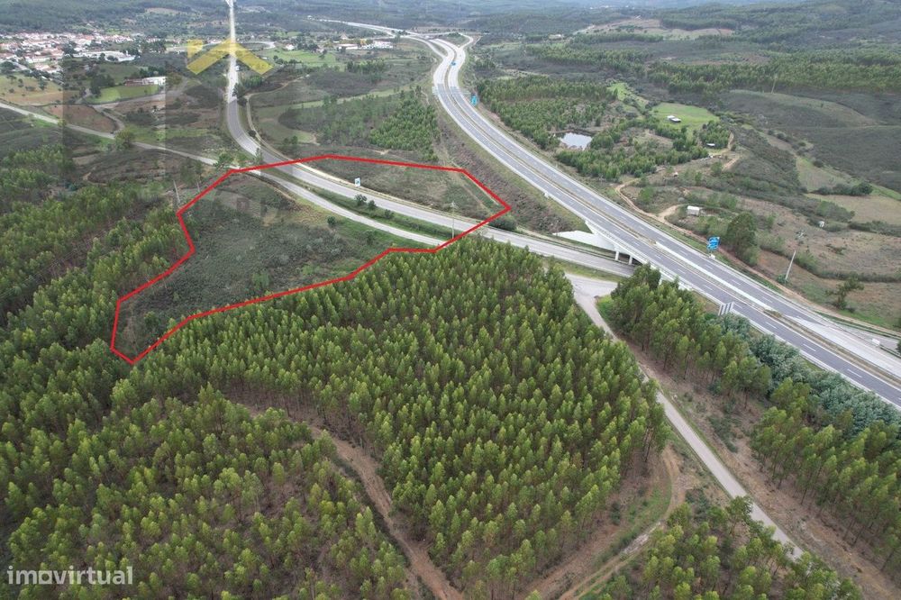 Terreno Rústico  Venda em Fratel,Vila Velha de Ródão