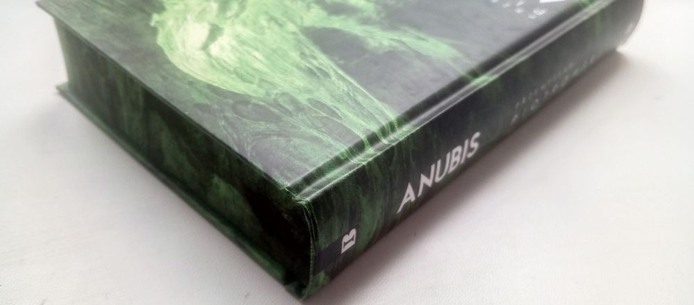 ANUBIS - Przemysław Piotrowski Cykl: Igor Brudny tom  7