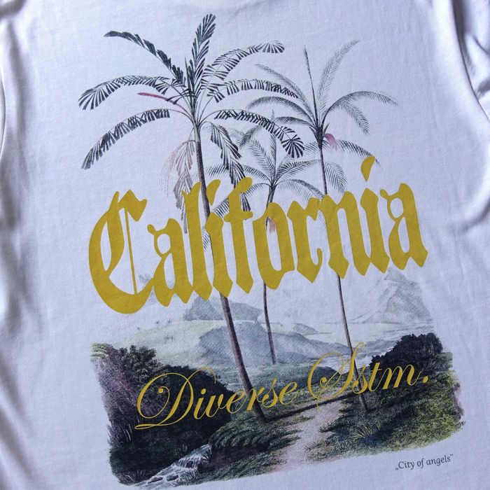 T-shirt męski z nadrukiem Diverse California r.XL