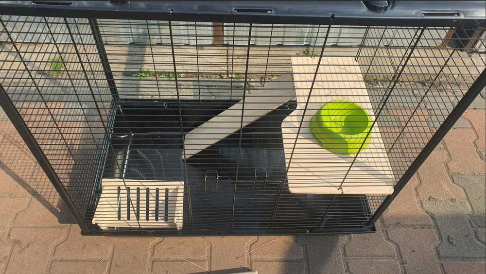 Duża klatka ZOLUX Neo Cosy dla większych gryzoni