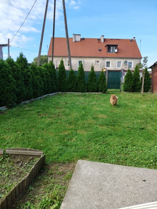 Sprzedam mieszkanie 800m od Trzebnicy