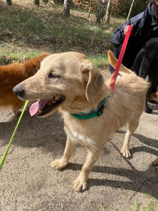 Proludzki Oliwier czeka na dom!