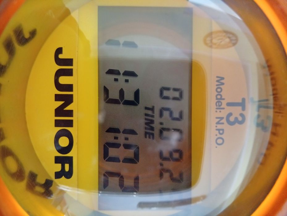 Relogio para corrida das pombos