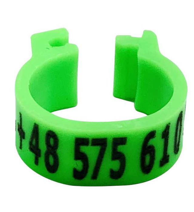 Znaczniki z numerem telefonu wypalane laserowo dla gołębi 8x5mm 125szt