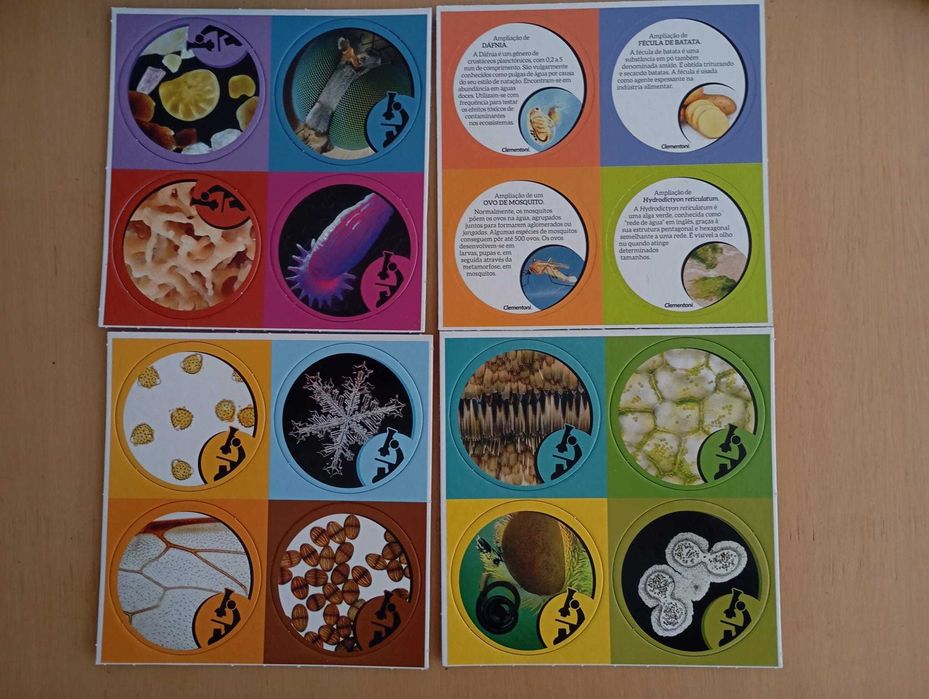 Microscópio Científico  Clementoni Ciência e Jogo