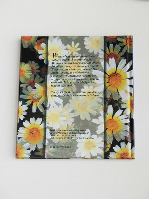 Słoneczne promyki przyjaźni - Phil Bosmans