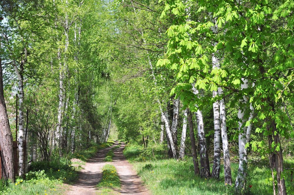 Своя дача в хорошем месте под Харьковом