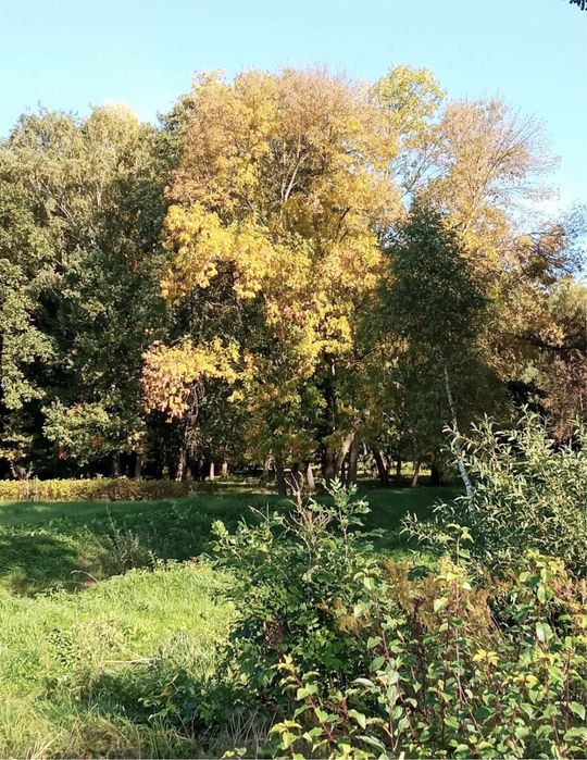 Земельна ділянка