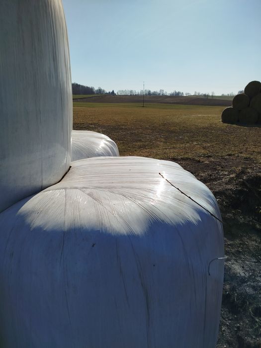 Sprzedam Siano Kiszonkę