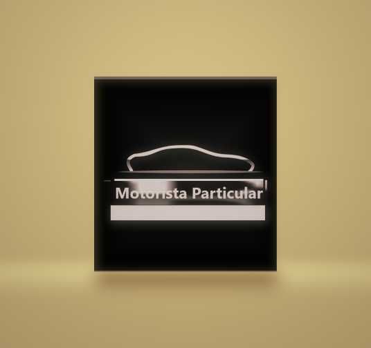 Motorista Particular.