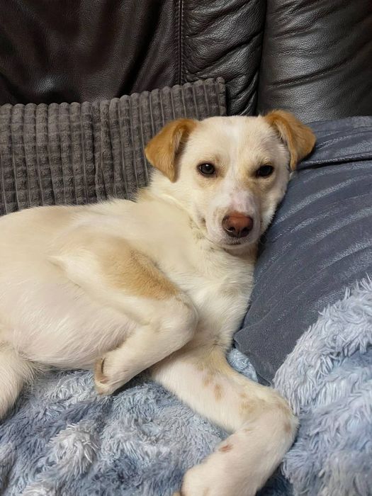 Енергійна красуня шукає родину