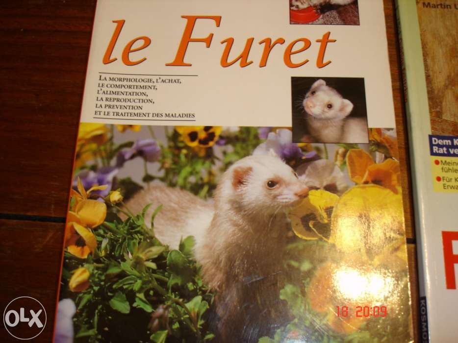 Livros sobre Furões em alemão e françês com imagens