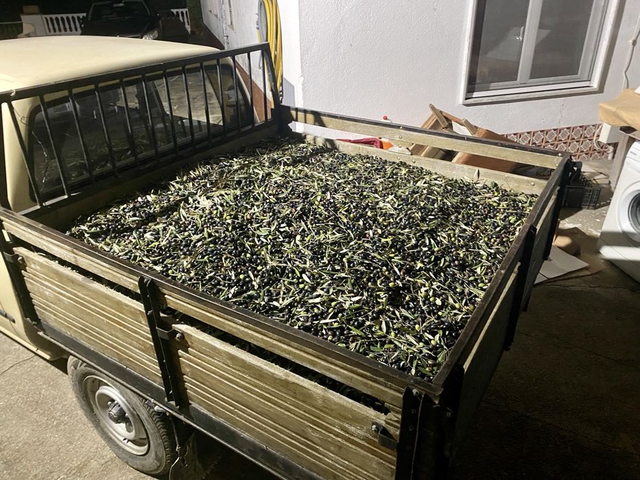 Azeite Virgem Caseiro  (100% orgânico)