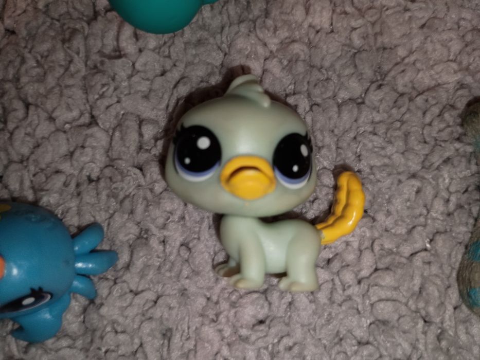 LPS #1627, LPS #497, LPS #2347, lps Chillz, LPS #1337, LPS #1-151
