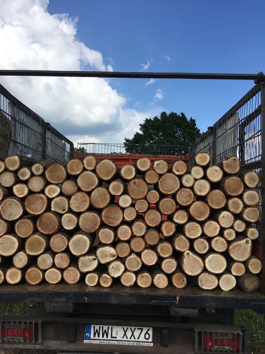 Drewno kominkowe sezonowane 2023