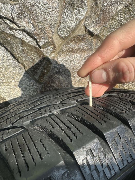 Шини зимові 225/66R17