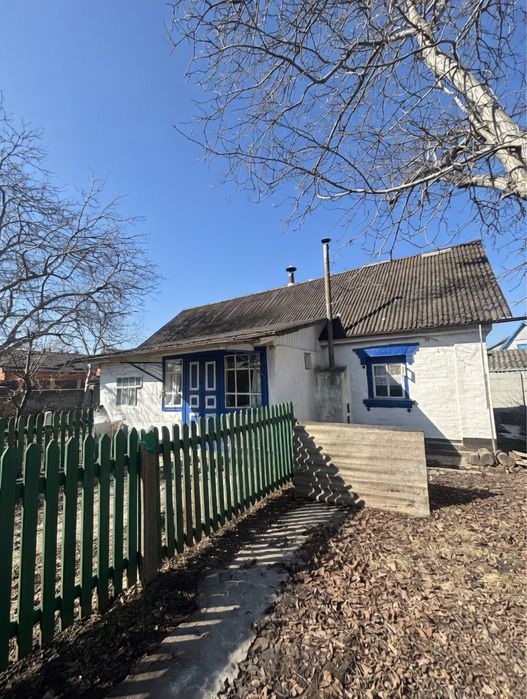 Продаж будинку в центрі села Пилипча - 45 соток землі