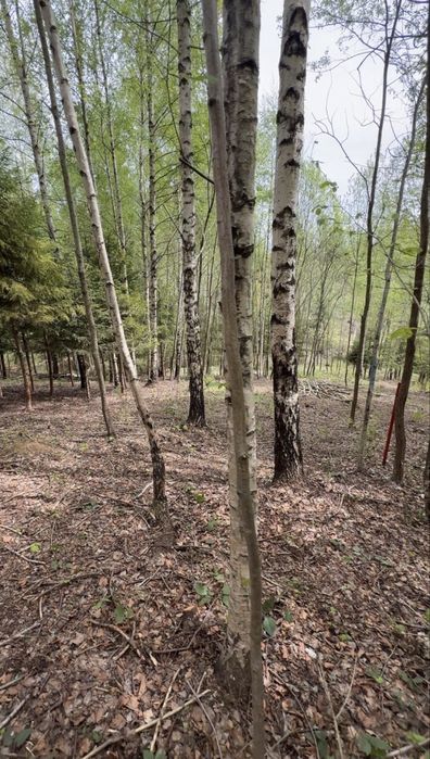 Земельна ділянка  СМТ Славсько, 0,50га підніжжя гори Тростян