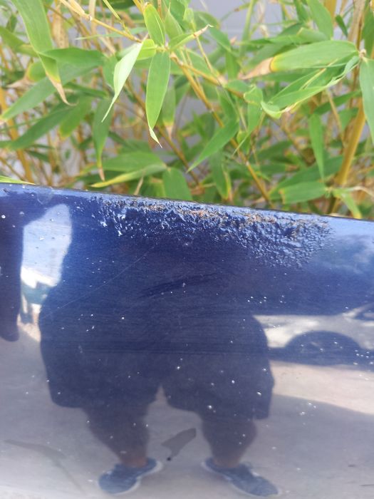 Capot Renault Clio 2