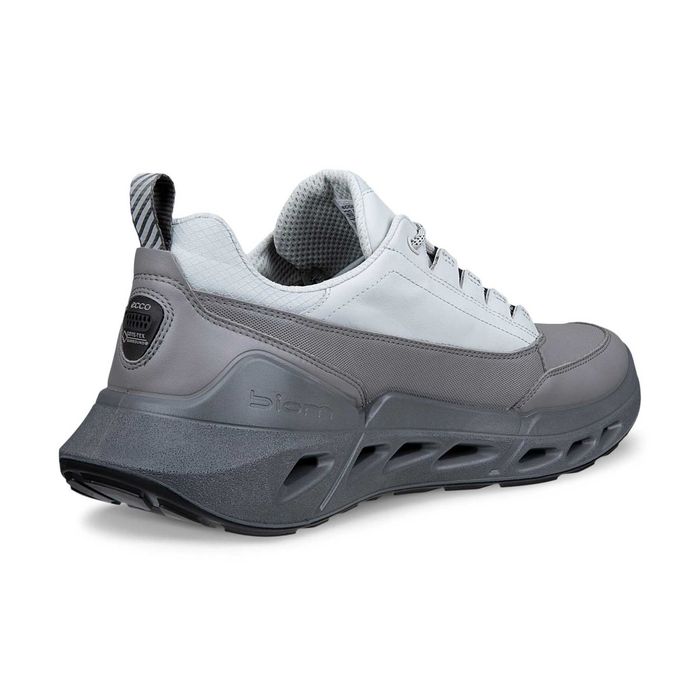Мужские Кроссовки ECCO BIOM 720 M