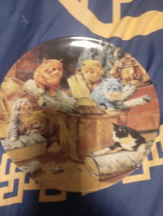 Talerze porcelana koty kolekcjonerskie 5 szt.